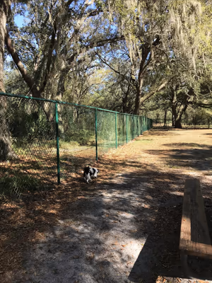 Shingle Creek Regional Park Dog Park photo 1